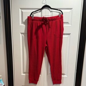 Torrid heavy Hacci rib lounge jogger pants. Brand new with tags.